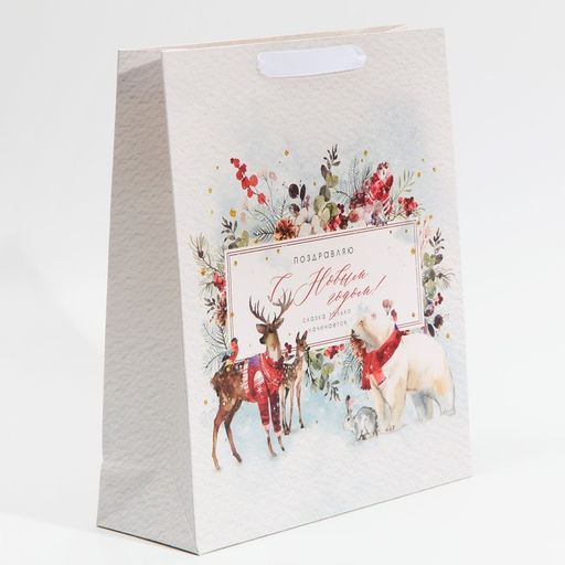 Цена за 2 шт. Пакет подарочный новогодний ламинированный С Новым годом, M 30?26?9 см