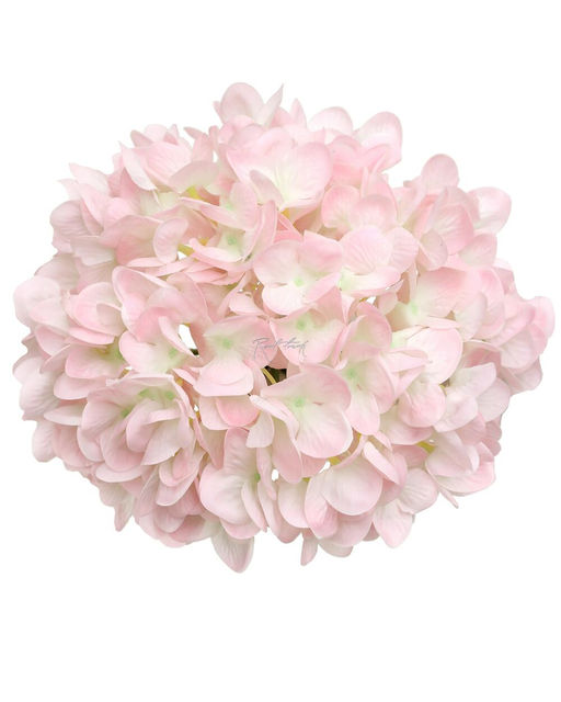 Гортензия соцветие XL (без стебля) - Бело-розовый - Real touch фото 2