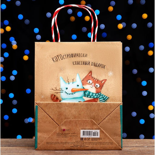 Пакет подарочный КОТОстрофически классный подарок 18 х 22,3 х 10 см - Simaland фото 2