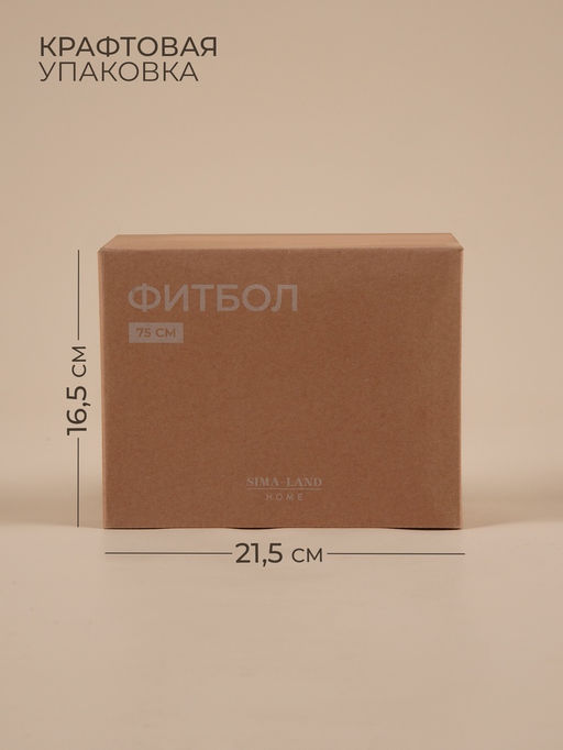 Фитбол Sima-Land Home, d=75 см, 1000 г, антивзрыв, цвет белый