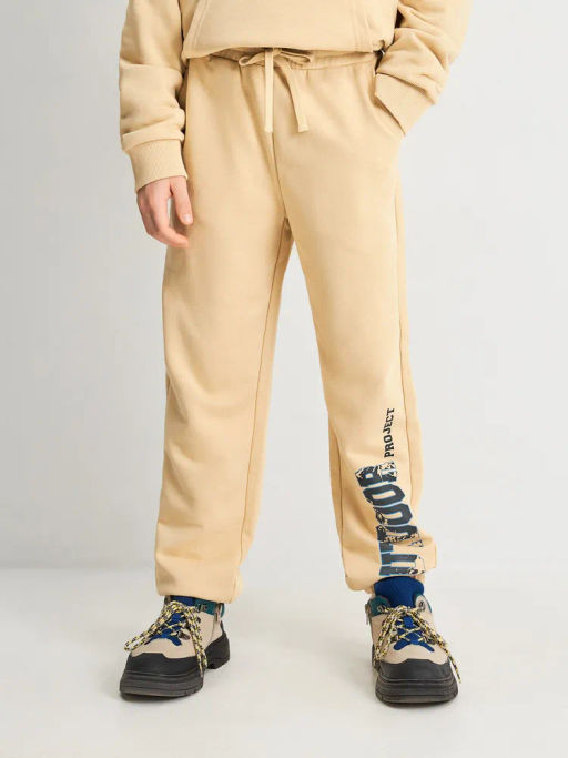 ACOOLA / Брюки детские для мальчиков Zefir_pt светло-серый принт