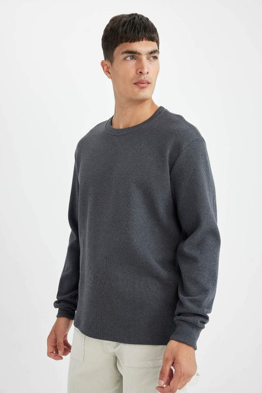 Футболка стандартного кроя с круглым вырезом и длинными рукавами вафельного цвета - Defacto фото 4