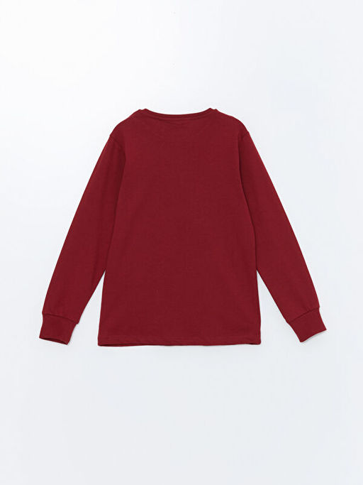 Bisiklet Yaka Harry Potter Bask?l? Erkek ?ocuk Pijama ?st - Waikiki фото 2