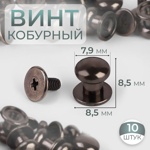 Цена за 2 шт. Кобурный винт d=7.9/8.5×8.5 мм, 10 шт., цвет чёрный никель