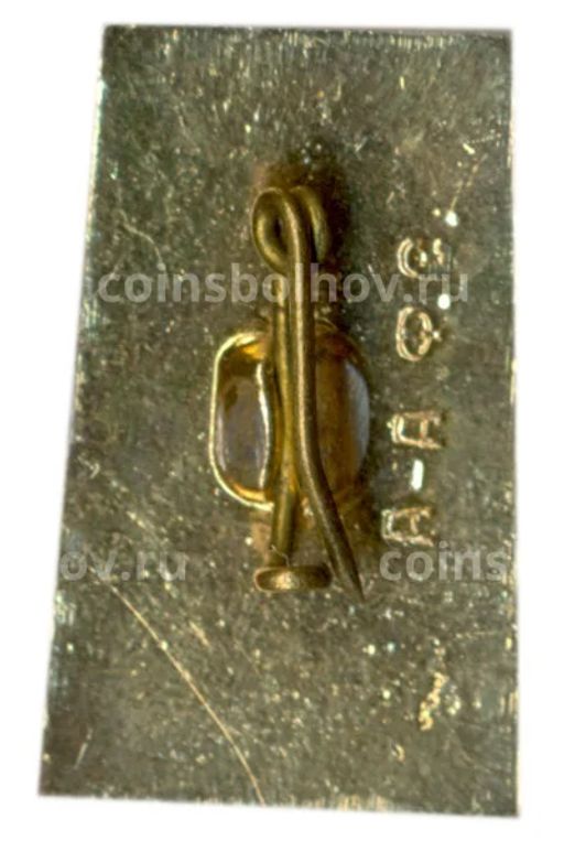 Значок Алма-Ата