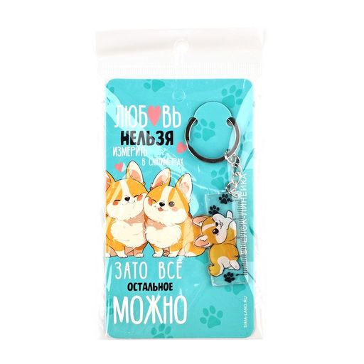 Цена за 2 шт. Брелок линейка для ключей Любовь нельзя измерить, 2.4?10 см - Сима-ленд фото 6