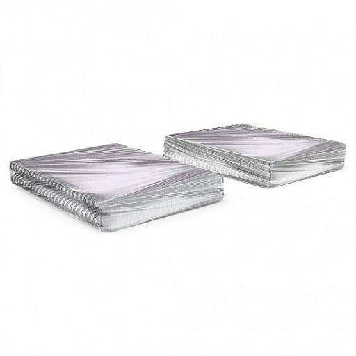 Цена за 2 шт. Тетрадь общая с пластиковой обложкой на спирали ErichKrause Brave cats, фиолетовый, A5, 80 листов, клетка  фото 4