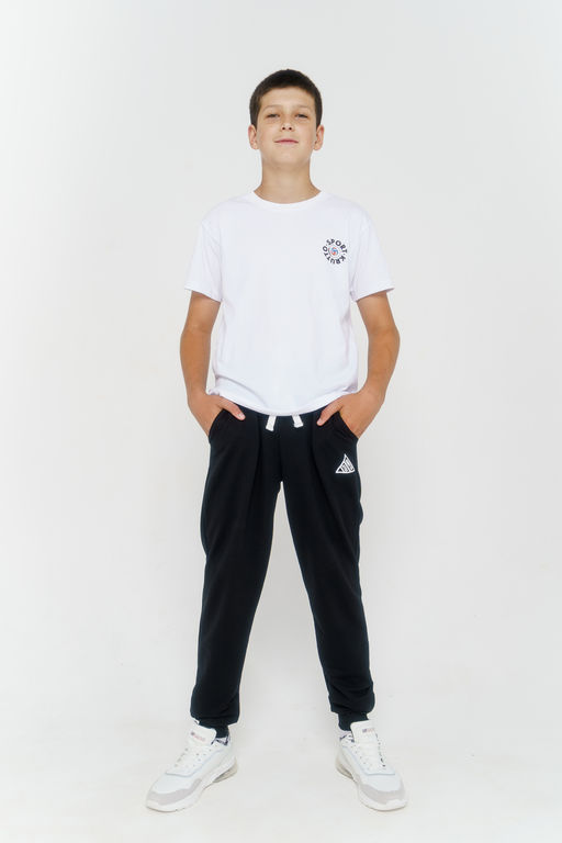 Брюки спортивные Александр