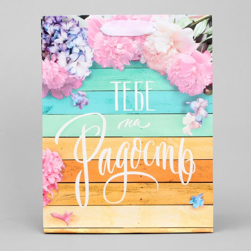 Цена за 2 шт. Пакет подарочный ламинированный, упаковка, «Тебе на радость», MS 18×23×8 см