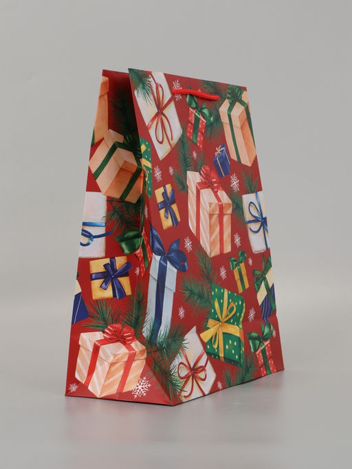 Цена за 2 шт. Пакет подарочный «Новогодний бум», 26×12×32 см