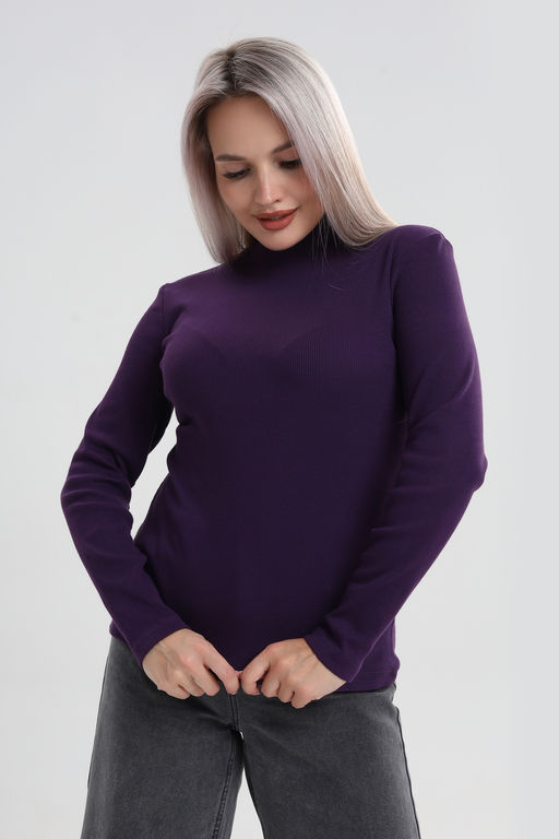 Водолазка ВЖ0059