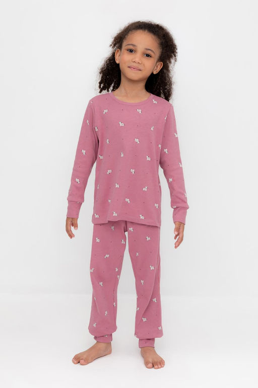 К 1552/пепельная роза,смешные зебры пижама дет