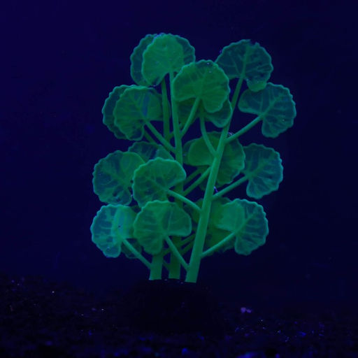 Растение силиконовое аквариумное, светящееся в темноте, 7 х 11 см, зелёное - Simaland фото 2