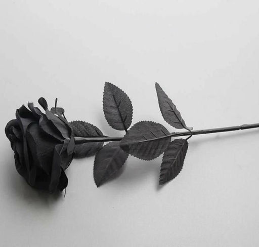 Роза черная одиночная Total Black / Высота 45 см.