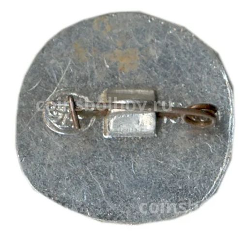 Значок Владимир