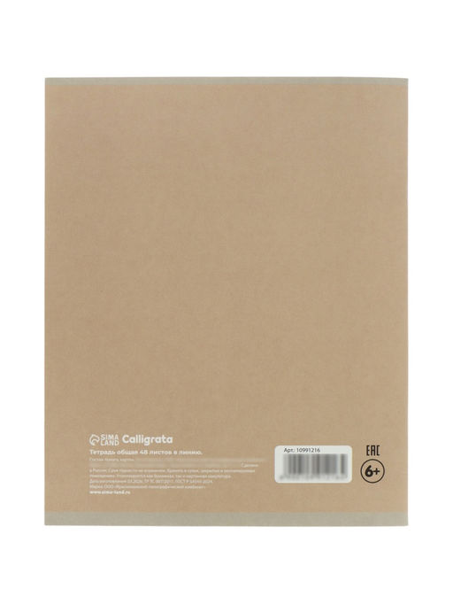 Комплект тетрадей 5 штук, 48 листов в линейку Calligrata «Квиллинг», 5 видов