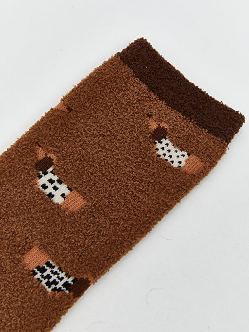 Hayvan Nak??l? Kad?n Ev ?orab?