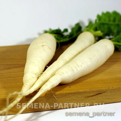 Дайкон Дубинушка - Партнер фото 2