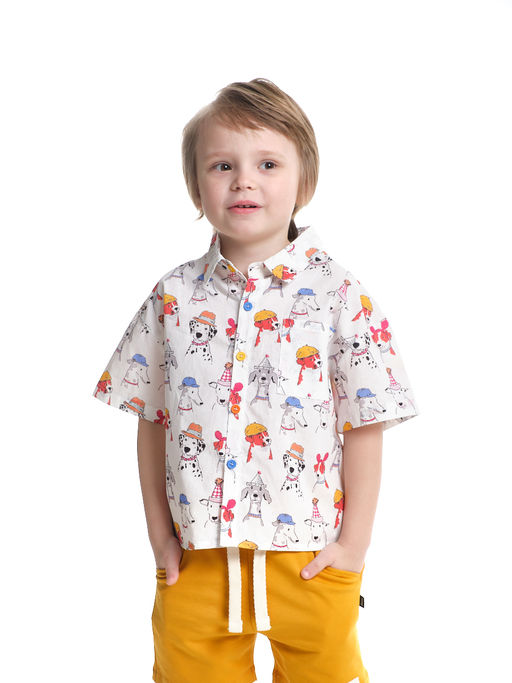 Рубашка цветная для мальчика 33-58760 белый/цветной - Mini maxi фото 6