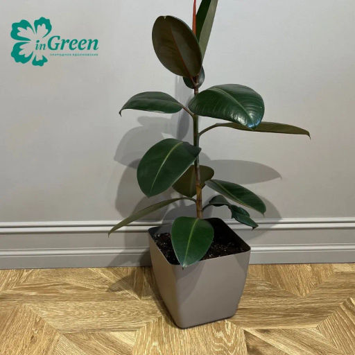 Горшок с дренажной вставкой InGreen Vienna, 5л, квадратный, французский платан IG680410105 ,, - Пластик репаблик фото 4