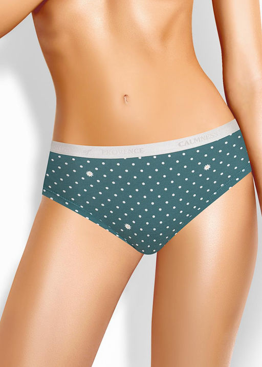 BR1225 Трусы жен. Капибара (ЧЗ)