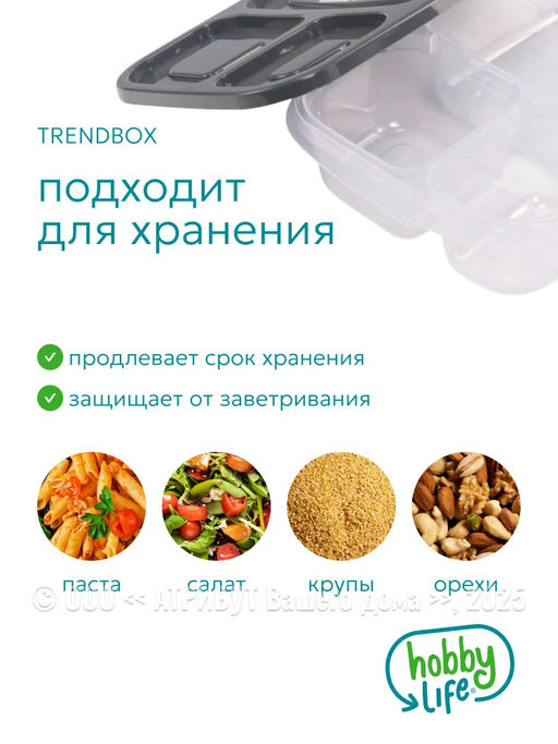 Контейнер пищевой TRENDBOX, серый, 3 секции, с крышкой, прямоугольный - Hobby Life фото 6