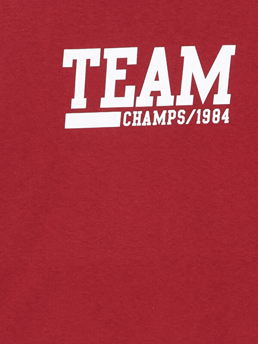 Bisiklet Yaka Erkek ?ocuk Ti??rt - Waikiki фото 3