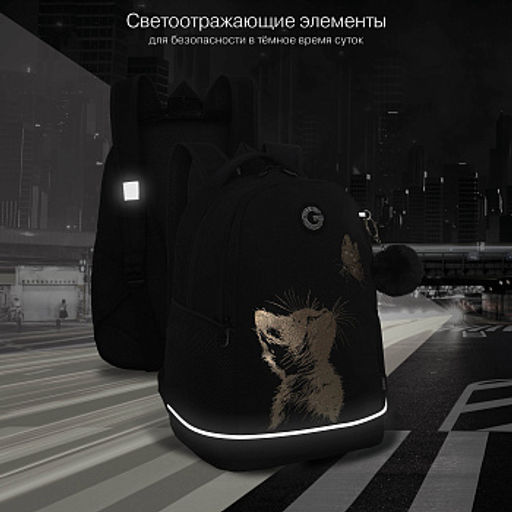 RG-663-3 Рюкзак школьный с обвесом - Grizzly фото 14