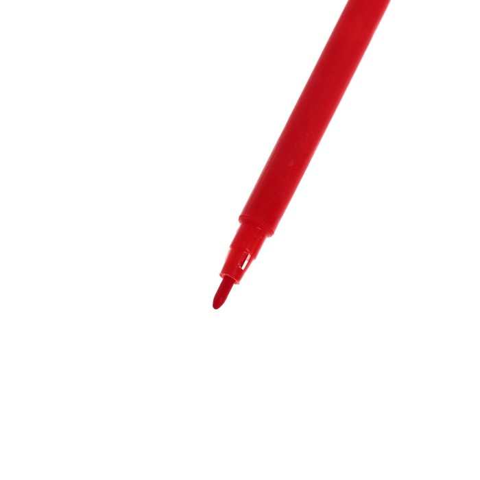 Фломастеры 24 цвета Calligrata, невентилируемый колпачок  фото 4