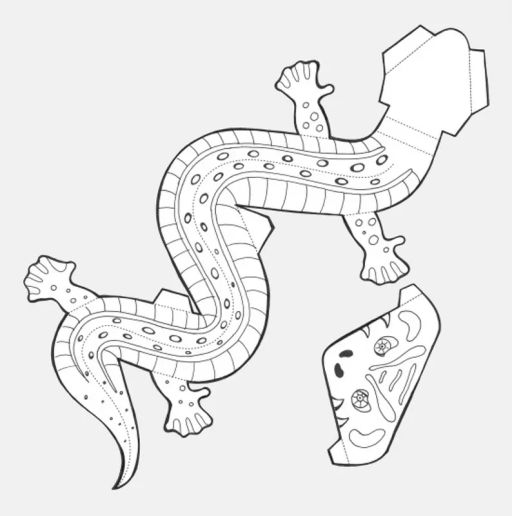 Раскраска - конструктор. Животные