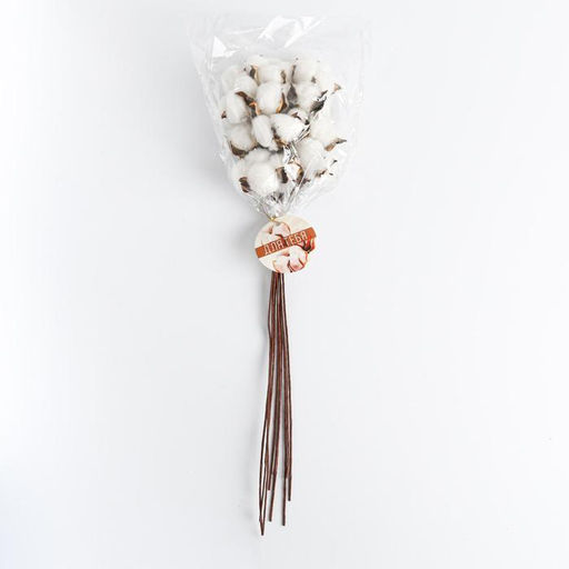 Сухоцвет хлопок «Сливочные облака»