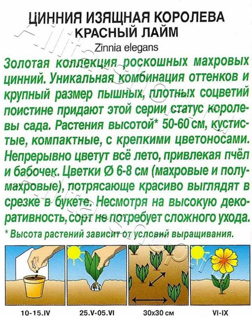 Цинния Королева красный лайм 5шт. (Аэлита)