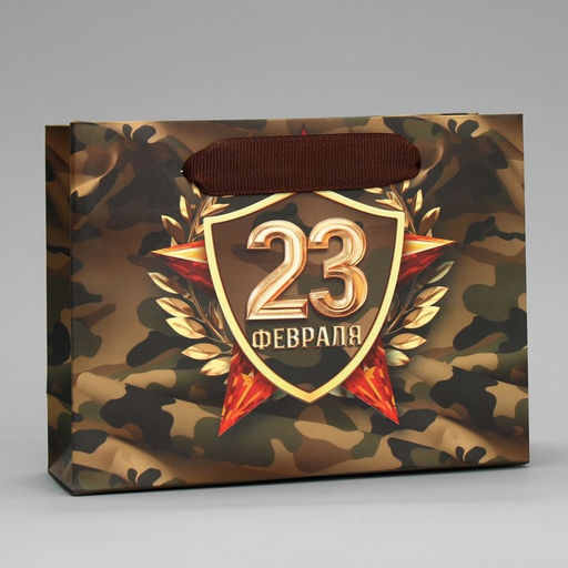 Цена за 2 шт. Пакет подарочный ламинированный, упаковка, «С 23 февраля», S 15×12×5.5 см