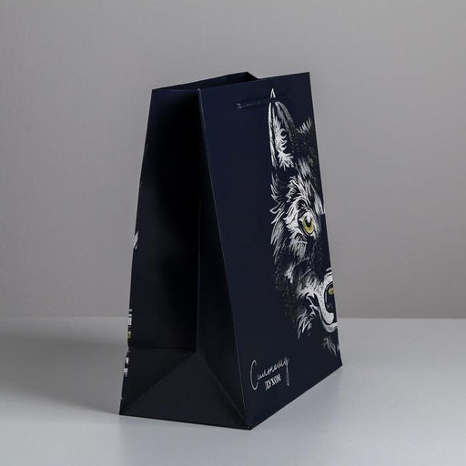 Пакет ламинированный вертикальный Сильному духом, ML 23 27 11,5 см - Дарите счастье фото 2