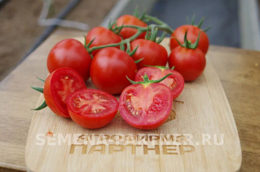 Томат Барух F1 - Партнер фото 2