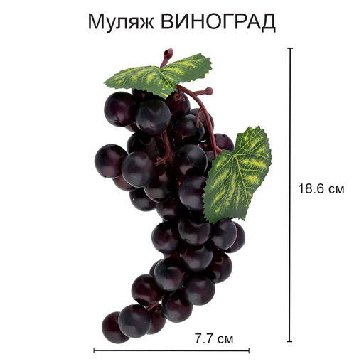 Blumentag MDL-02 Муляж Виноград 6 х 1 шт. 7.7 х 18.6 см 01 синий  фото 4