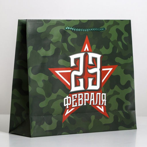 Цена за 2 шт. Пакет подарочный ламинированный, упаковка, «С 23 февраля», ML 25×21×8 см