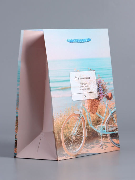 Пакет подарочный ламинированный «Путь к мечте», 18×22.3×10 см