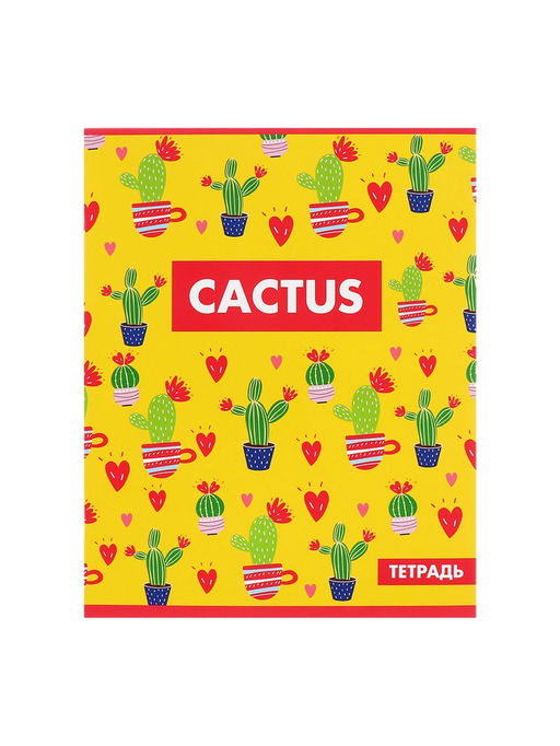 Комплект тетрадей из 5 шт Кактус, 48 листов, в клетку, обложка мелованный картон, блок офсет - Calligrata фото 11