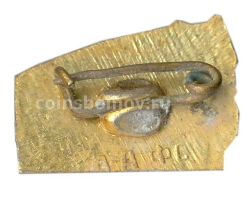 Значок Алма-Ата