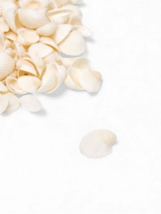 Набор ракушек декоративных 1,5-3 см, 100  г