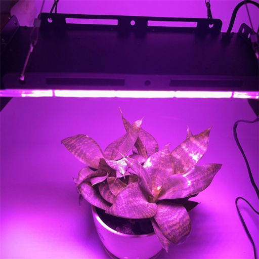 Светильник стационарный с подвесной системой, 200Вт. / OH.200WP / уп 30/фитолампа - Галеонтрейд фото 2