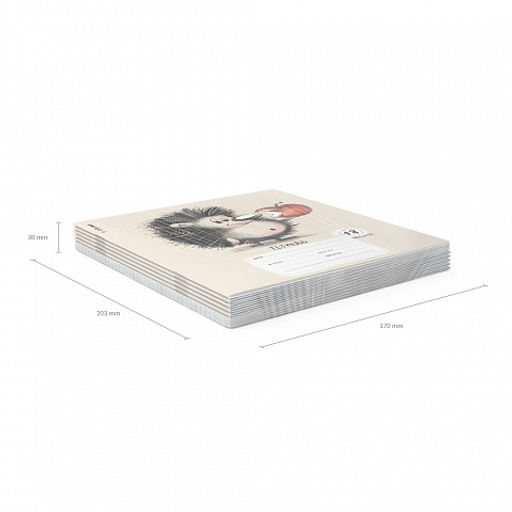 Цена за 10 шт. Тетрадь школьная ученическая ErichKrause Очаровашки, 18 листов, линейка (в плёнке по 10 шт.)_MIX-PACK  фото 11