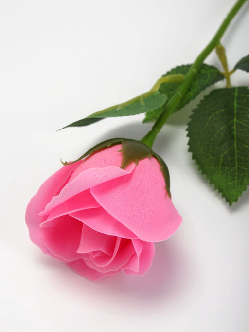 Мыльная роза розовая в коробке - SB BEAUTY фото 6