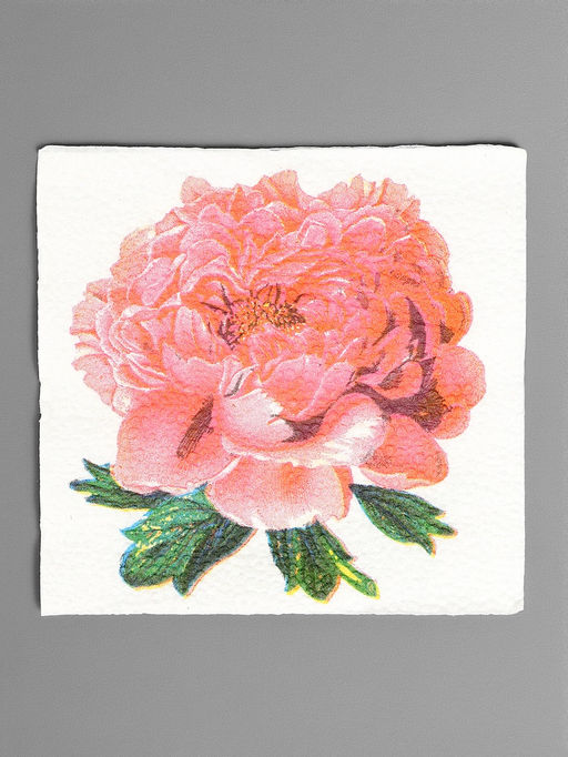 Цена за 4 шт. Салфетки бумажные «Пион розовый», 24×24 см, 50 шт.