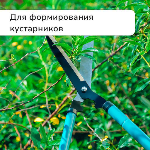 Кусторез, 2228.5 (5673 см), телескопический, с поролоновыми ручками, с чехлом, цвет МИКС, Greengo фото 5