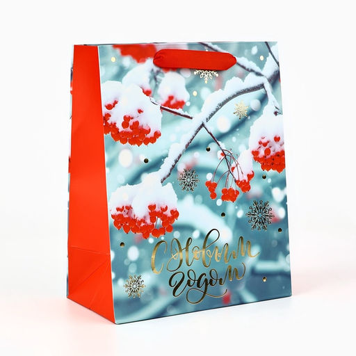 Пакет подарочный новогодний ламинированный «С Новым годом», MS 23×18×10 см
