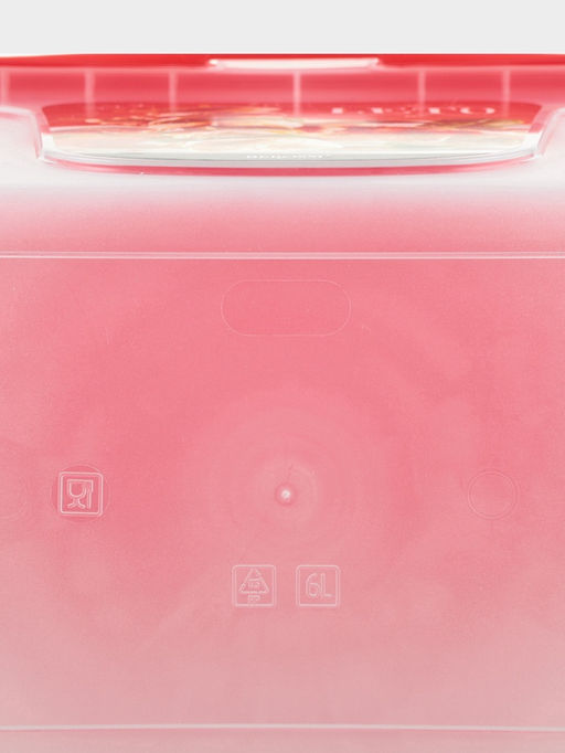 Контейнер для шашлыка c ручкой BEROSSI Leto, 6 л, пластик, прозрачный, крышка красная