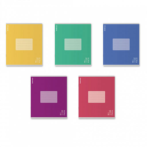 Цена за 10 шт. Тетрадь школьная ученическая ErichKrause FineLine, 18 листов, линейка, матовая ламинация, блок 80 г/м2_MIX-PACK фото 2