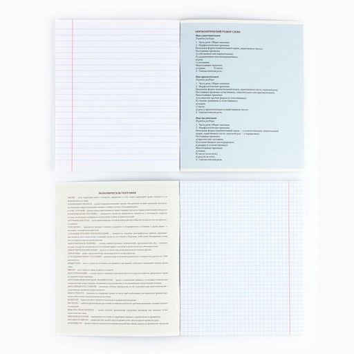 Тетради предметные, 48 л., набор из 10 шт., блок №1, софт тач лам, уф лак Силуэт - Artfox study фото 3